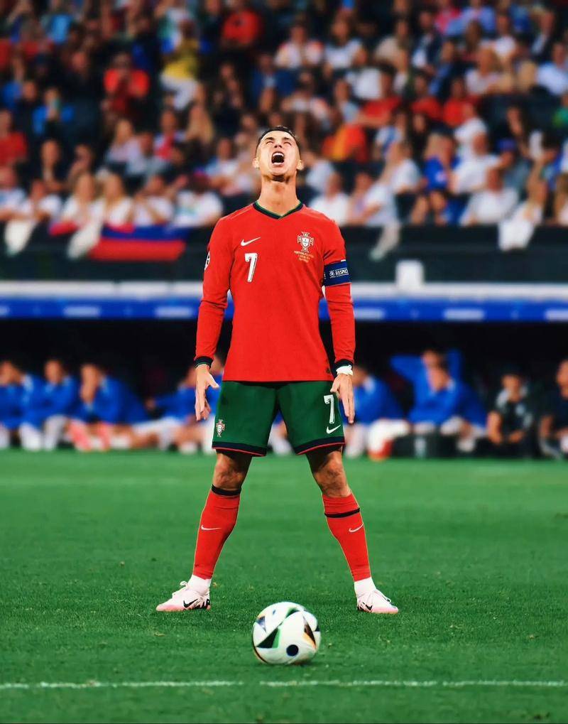 网球迷们将 网球迷们将