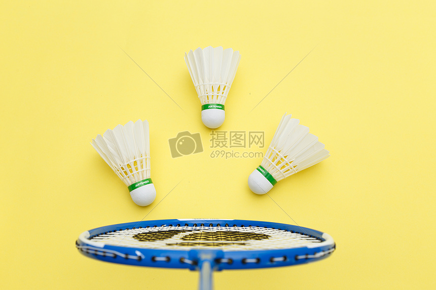 纽卡的引援 纽卡的引援